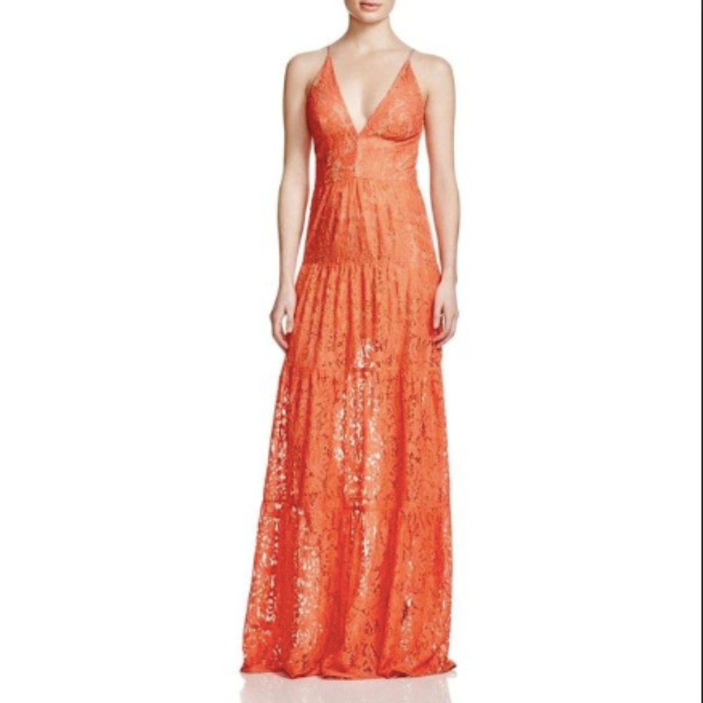 Dress the Population Lace Dress